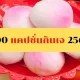 100 แคปชั่น คำคม กินเจ 2565 คำคมแคปชั่นตลกเฮฮา กินเจอิ่มบุญอิ่มใจ