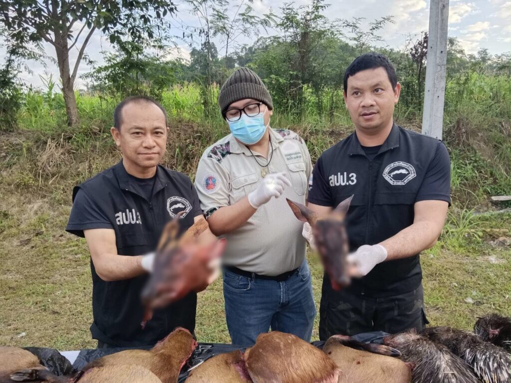 เจ้าหน้าที่กรมอุทยานแห่งชาติฯ ยึดซากสัตว์ที่ถูกล่า